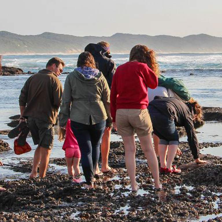 Students picking up rocks on a beach in Africa
